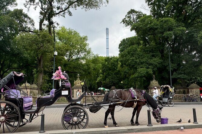 NYC Empire State Horses Carriage Ride in Central Park(55 Min) - Practical Details & Tips