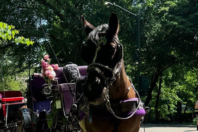 NYC Empire State Horses Carriage Ride in Central Park(55 Min) - FAQs