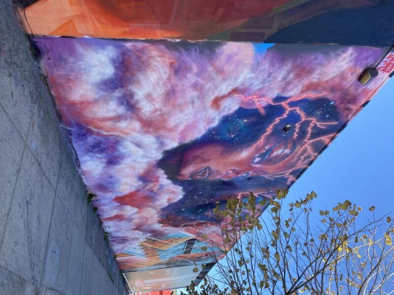 NYC | French guided tour Bushwick & Williamsburg - An introduction to Brooklyn’s vibrant neighborhoods