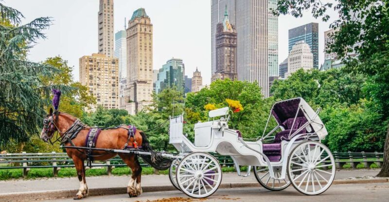 NYC: Guided Central Park Horse Carriage Ride - What to Expect from the Central Park Horse Carriage Tour
