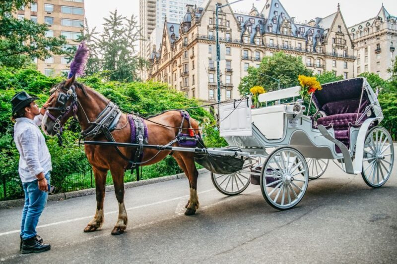 NYC: Guided Central Park Horse Carriage Ride - Who Should Book This Experience?