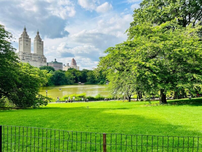 NYC: Guided Central Park Pedicab Private Tour - The Underlying Value