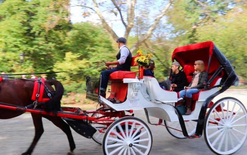 NYC: Guided Standard Central Park Carriage Ride (4 Adults) - Key Points