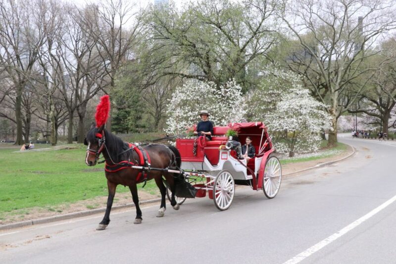 NYC: Guided Standard Central Park Carriage Ride (4 Adults) - The Experience: Comfort, Knowledge, and a Touch of Elegance