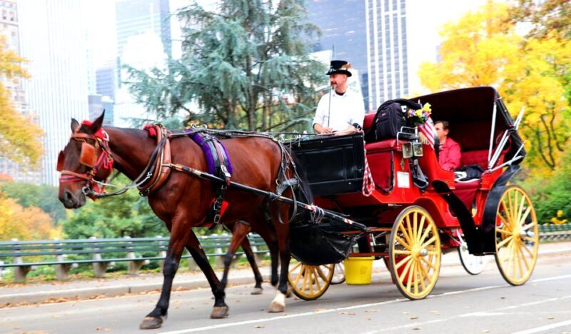 NYC: Guided Standard Central Park Carriage Ride (4 Adults) - Practical Tips for Your Carriage Ride