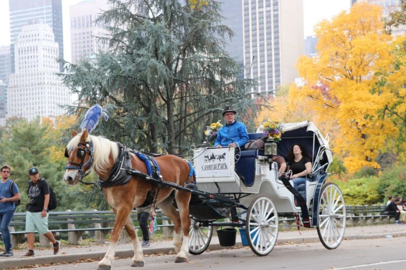 NYC: Guided Standard Central Park Carriage Ride (4 Adults) - Who Is This Tour Best For?