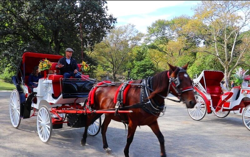 NYC: Guided Standard Central Park Carriage Ride (4 Adults) - Final Thoughts