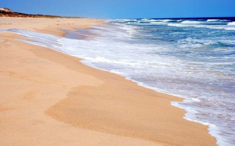 NYC: Hamptons Private Day Tour - An In-Depth Look at the Tour Experience