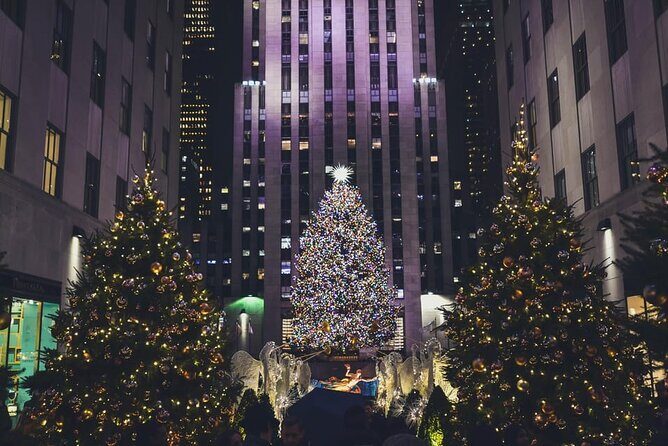 NYC Holiday Lights and Magic Pedicab Tour - Key Points