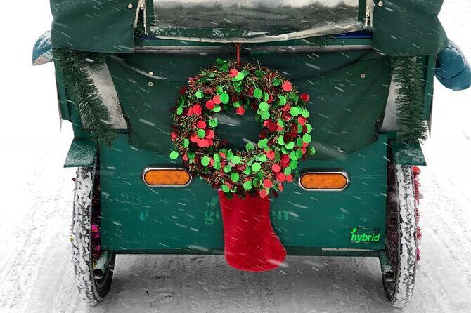 NYC Holiday Lights and Magic Pedicab Tour - Who Should Consider This Tour?