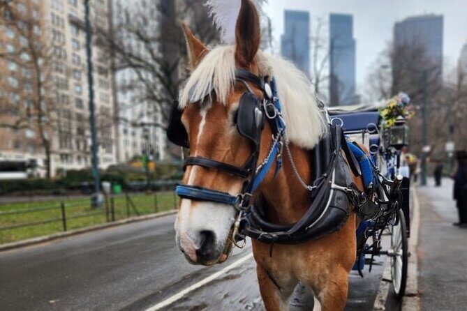 NYC Horse and Carriage Central Park Tours - Key Points