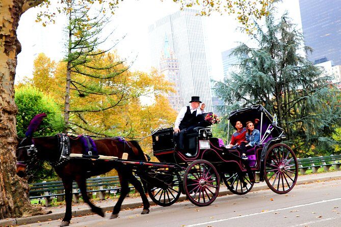 NYC Horse Carriage Ride in Central Park (50 Min. Up to 4 Adults) - FAQ