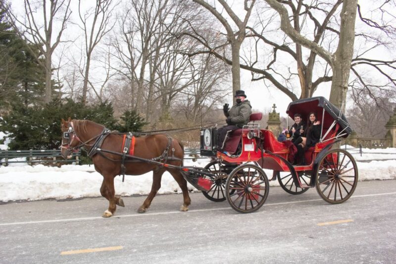 NYC Horse Carriage Ride in Central Park (65 min) - The Experience in Practice