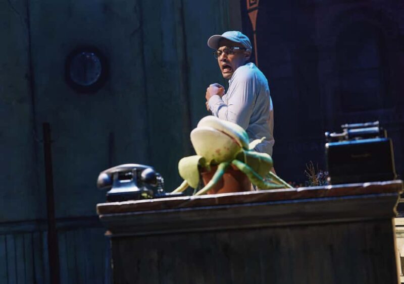 NYC: Little Shop of Horrors Off-Broadway Ticket - FAQ