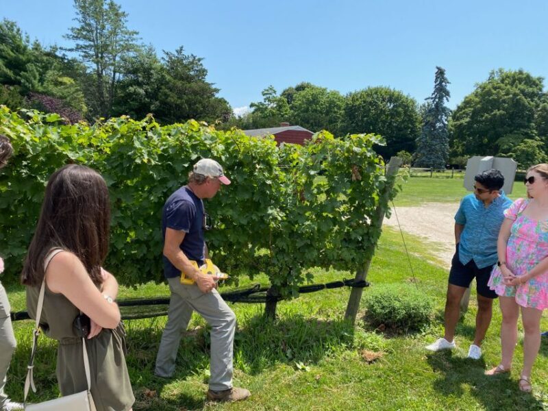 NYC: Long Island Sommelier-Guided Wine Tasting Tour - Key Points