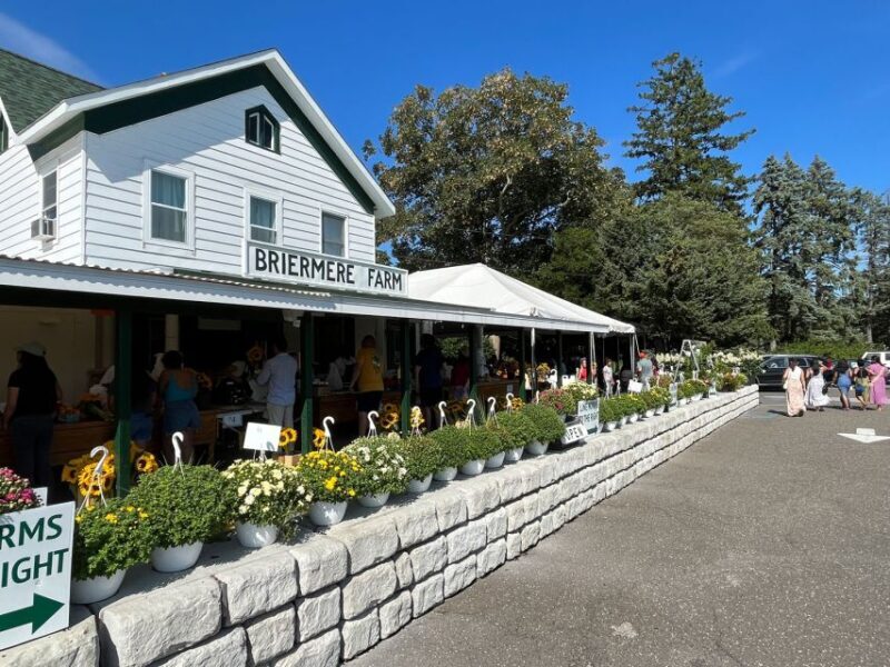 NYC: Long Island Sommelier-Guided Wine Tasting Tour - The Full Experience: What to Expect