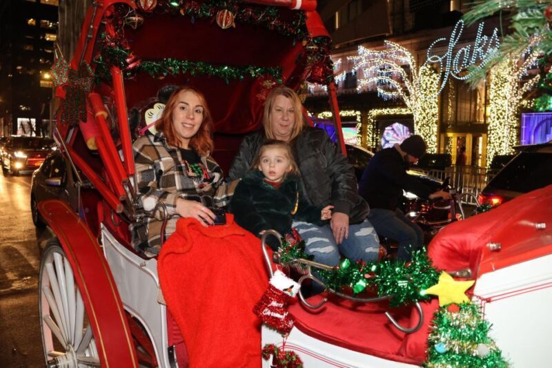 NYC: Magical Christmas Lights Carriage Ride - What the Reviews Say