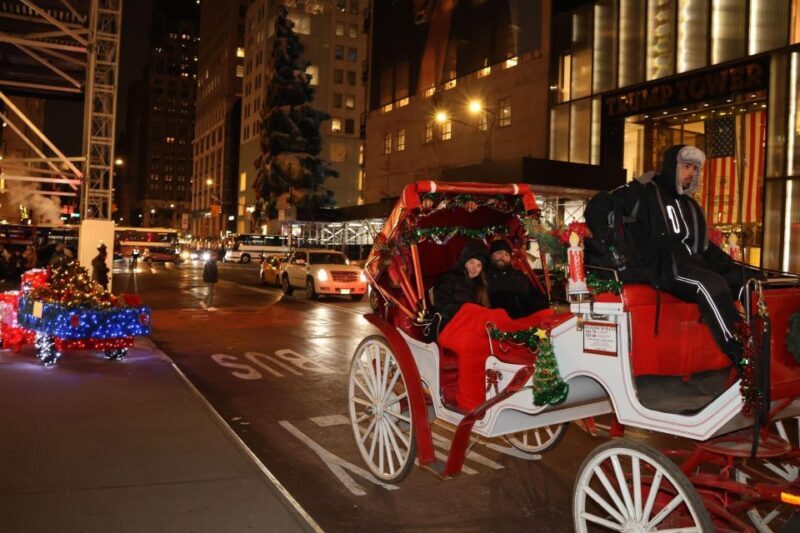 NYC: Magical Christmas Lights Carriage Ride - The Practical Side