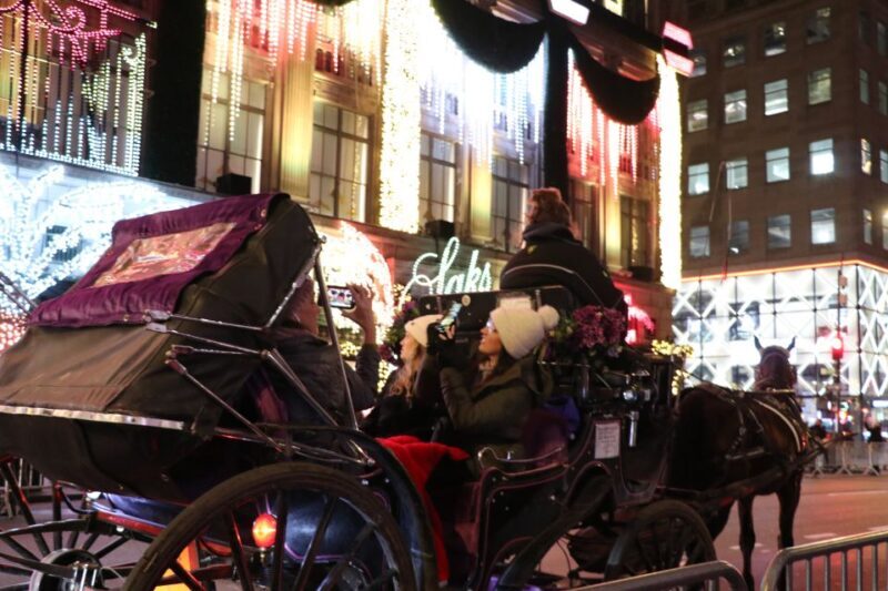 NYC: Magical Christmas Lights Carriage Ride - The Sum Up