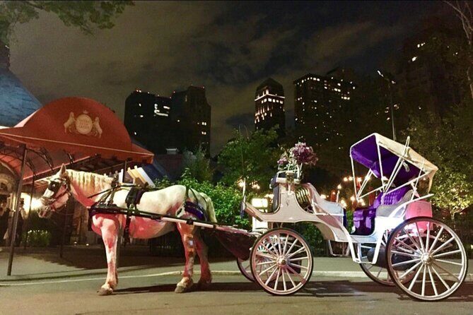 NYC : Magical Christmas Lights Private Horse Carriage Ride - Authentic Feedback From Reviewers