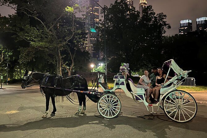 NYC : Magical Christmas Lights Private Horse Carriage Ride - The Value of This Experience