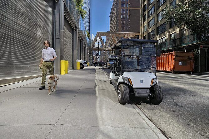 NYC: Midtown, Chelsea &West Village Guided City Tour by E-Cart - Who Is This Tour Best Suited For?