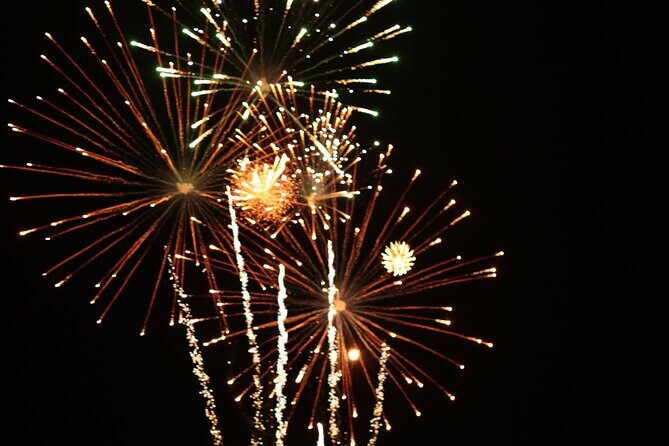 NYC New Years Eve Fireworks Cruise & Plated Dinner, Open Bar - Key Points