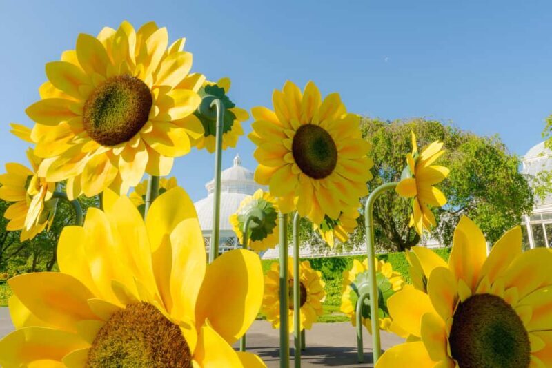 NYC: New York Botanical Garden Pass - Food and Facilities