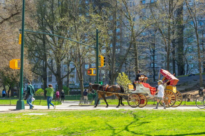 NYC Private Central Park Horse Carriage Ride with Guide - Key Points