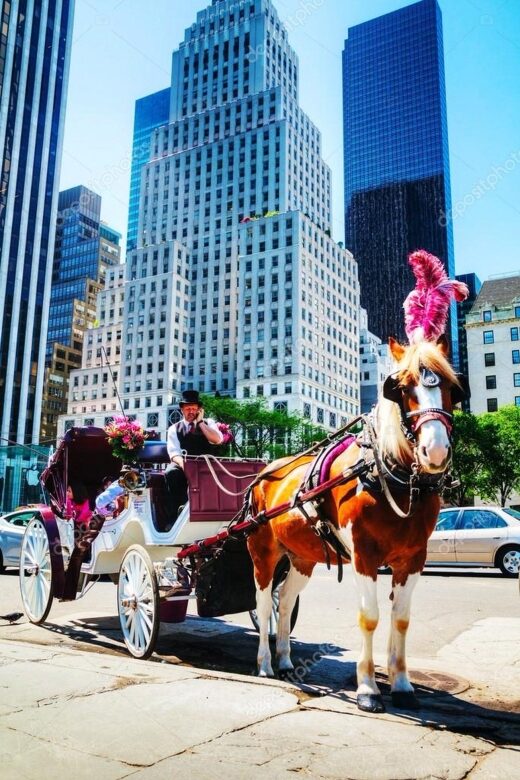 NYC Private Central Park Horse Carriage Ride with Guide - What to Expect from a Central Park Horse Carriage Ride