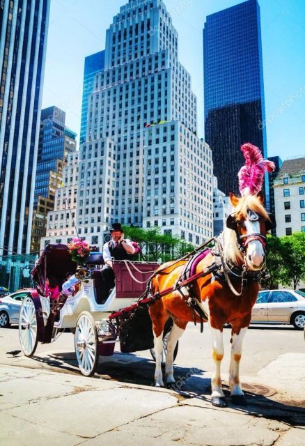 NYC Private Central Park Horse Carriage Ride with Guide - Authentic Traveler Insights