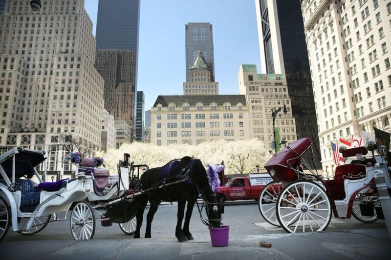 NYC Private Central Park Horse Carriage Ride with Guide - Is This Tour for You?