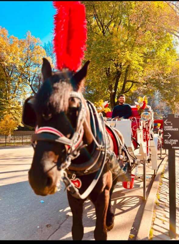 NYC: Private Central Park Horse-Drawn Carriage Tour - Key Points