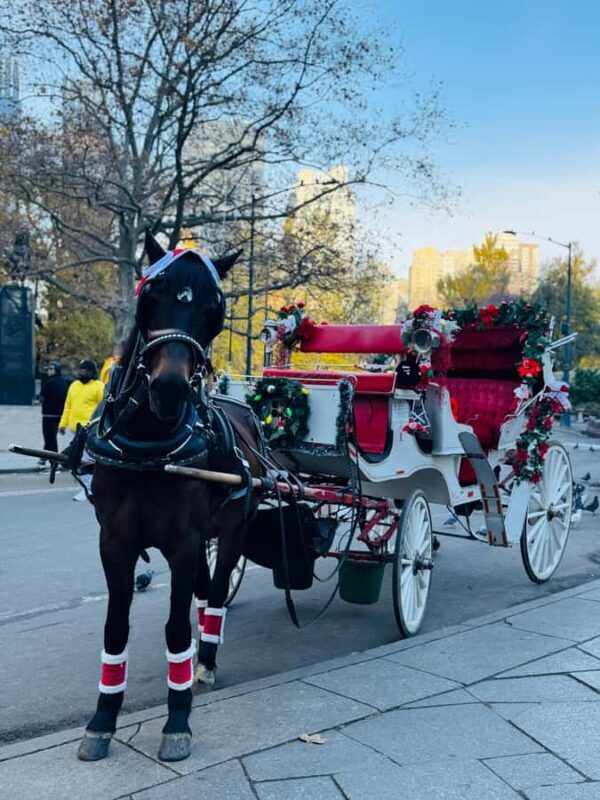 NYC: Private Central Park Horse-Drawn Carriage Tour - The Sum Up