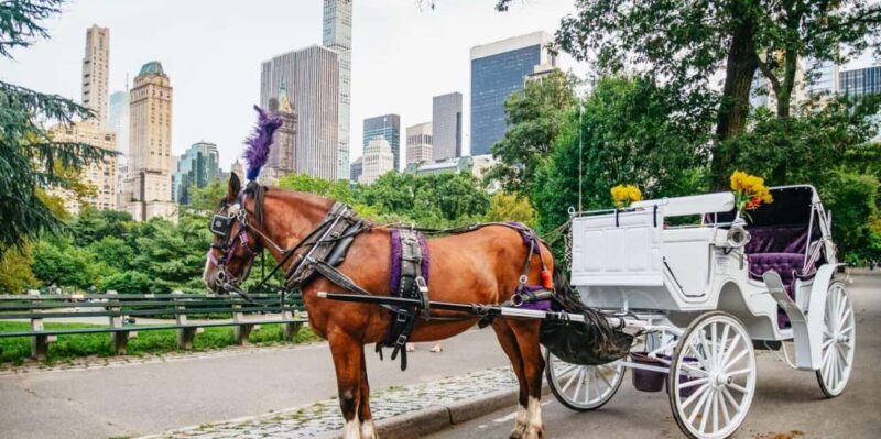 NYC: Private Christmas Lights Horse Carriage Ride - The Detailed Itinerary and Experience Breakdown