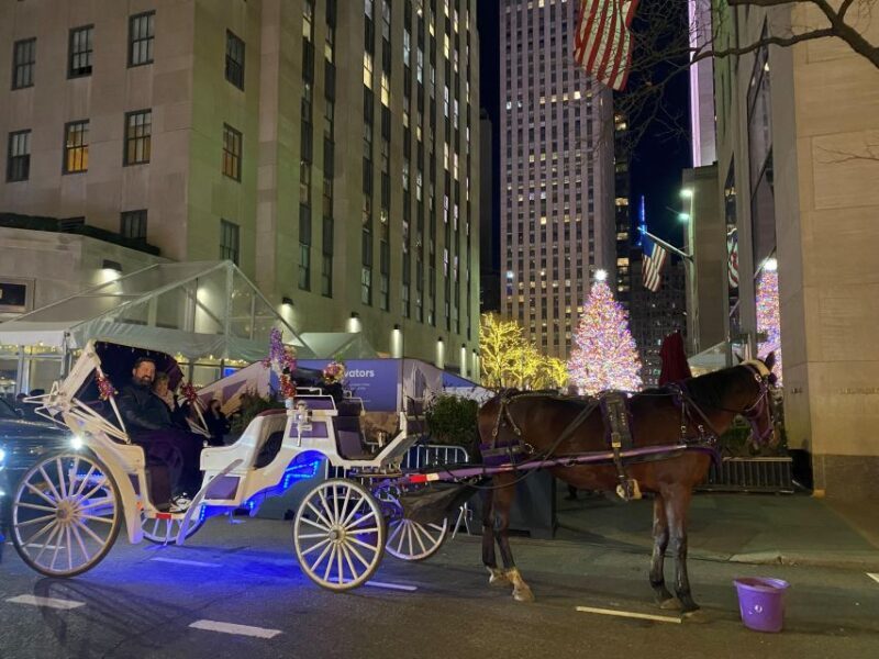 NYC: Private Christmas Lights Horse Carriage Ride - Key Points
