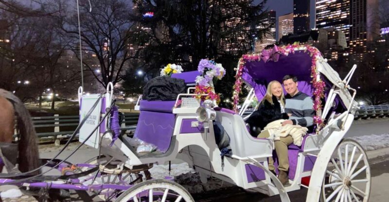 NYC: Private Christmas Lights Horse Carriage Ride - The Experience: What You Can Expect