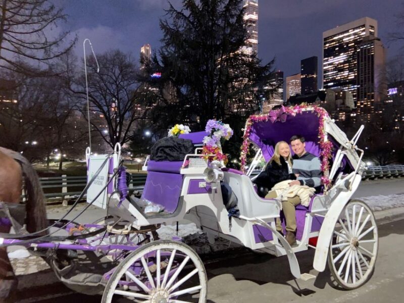 NYC: Private Christmas Lights Horse Carriage Ride - The Breakdown: What Makes It Stand Out