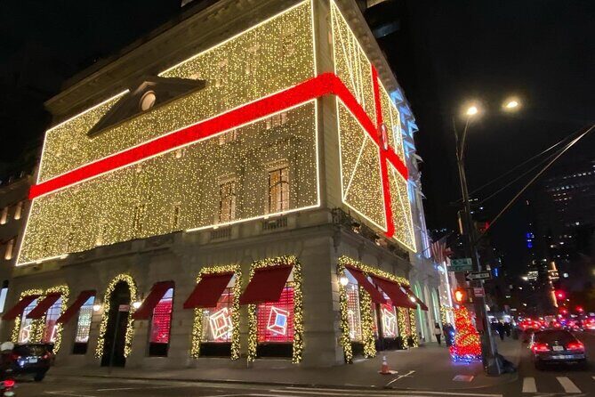 NYC Rockefeller Center Christmas Lights Horse Carriage Ride - Who Should Consider This Tour?