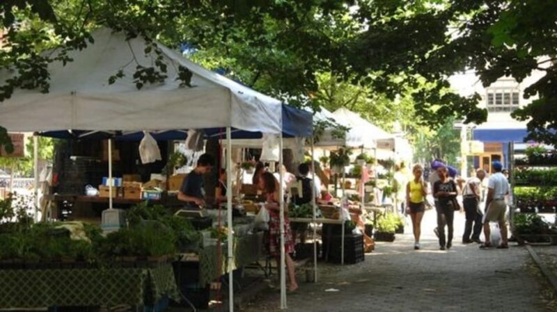 NYC: Soho, Little Italy and Chinatown Private Walking Tour - Final Thoughts