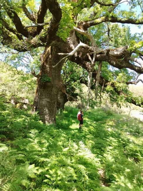 Nydri: Discover Local Culture, History & Beauty Guided Hike - Final Thoughts