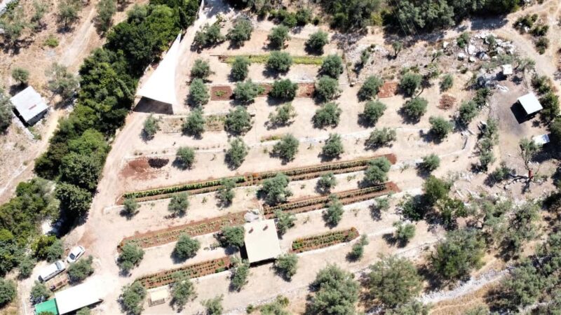 Nydri: Farm-to-Table Private Dining at Lefkada Micro Farm - FAQs
