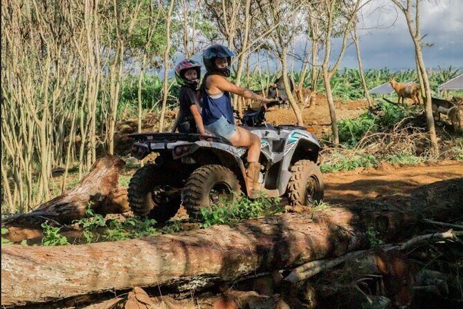 Oahu Beachfront ATV Adventure and Farm Tour - The Pros and Cons