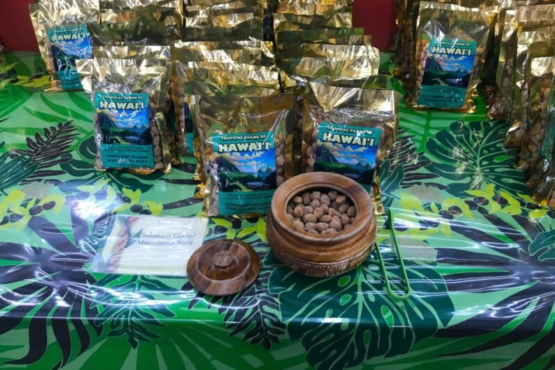 Oahu: Beauty and the Feast Circle Island Experience - What to Expect from This Oahu Tour