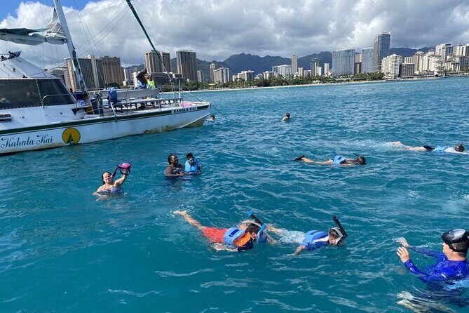 Oahu Catamaran Snorkel Tour: See Turtles 100% Guaranteed - What to Expect from the Oahu Catamaran Snorkel Tour