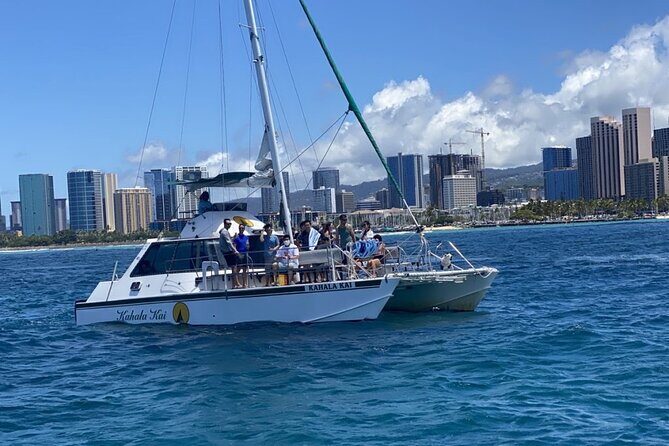 Oahu Catamaran Snorkel Tour: See Turtles 100% Guaranteed - FAQs
