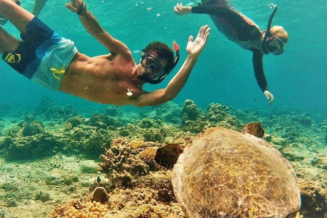 Oahu Circle Island: Snorkel with Turtles & Explore Turtle Beach - A Deep Dive into the Full-Day Experience