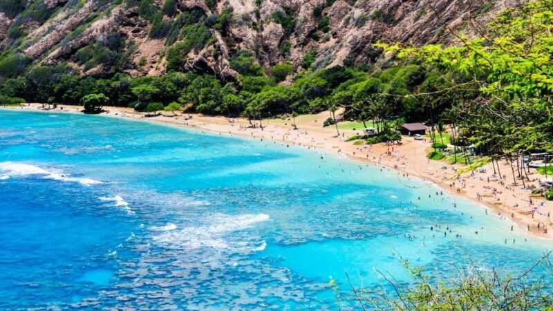 Oahu Circle Island Tour - Best Spots & Beaches - The Sum Up