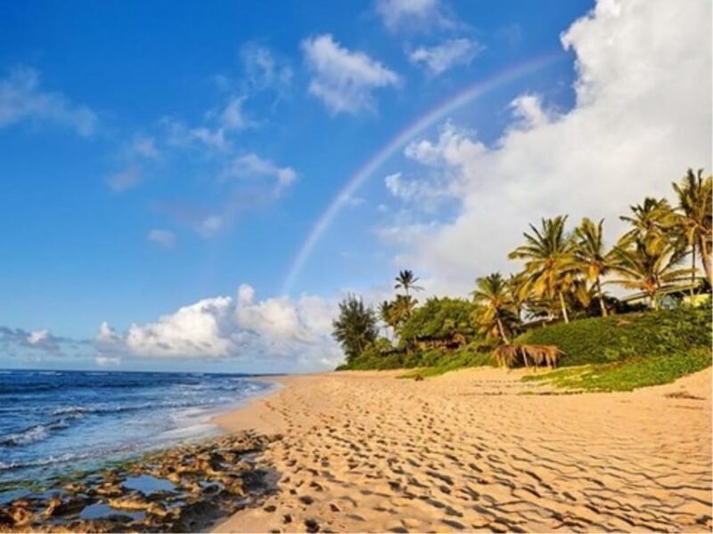 Oahu Circle Island Tour with Byodo-In Temple Admission - FAQ