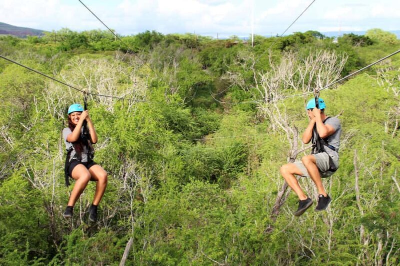 Oahu: Coral Crater Zipline Tour - Getting to the Coral Crater Zipline Tour